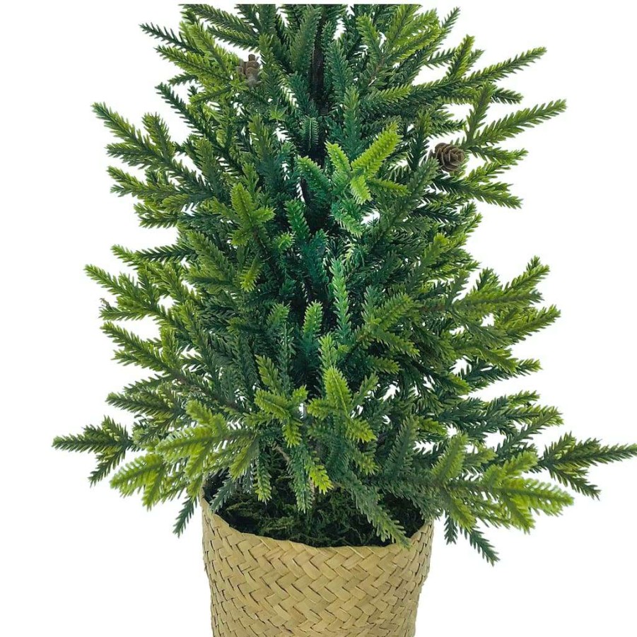 Christmas Cottage * | Cheapest 18 Christmas Tree Tabletop Accent In Rattan Pot By Ashland